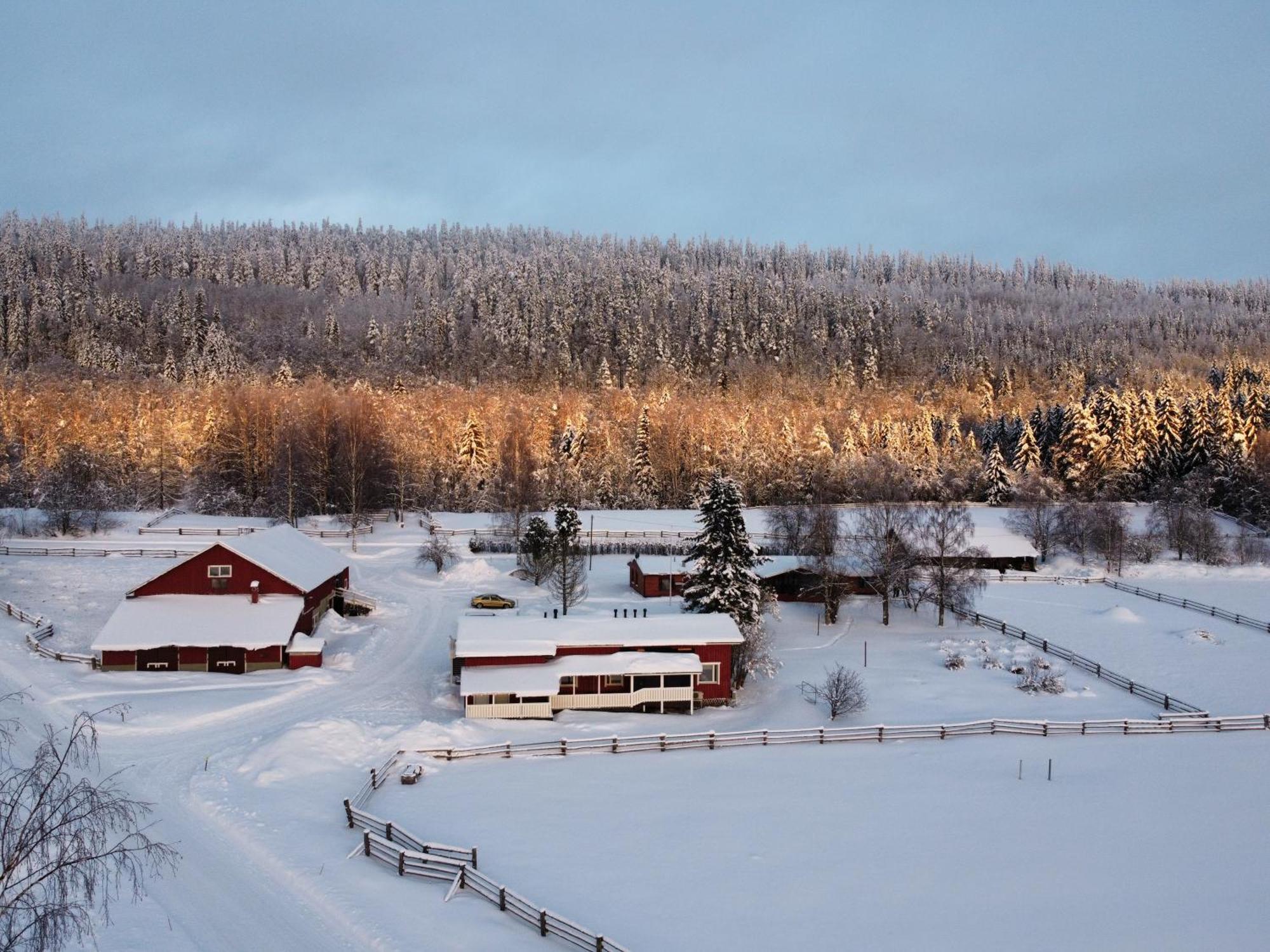 Paimentupa Villa Koli  Bagian luar foto